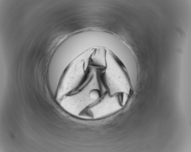 X0000113640001200910162047