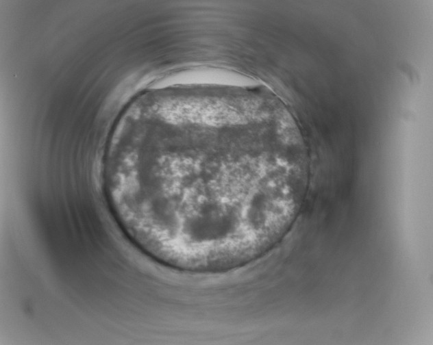 X0000113640002200910162047