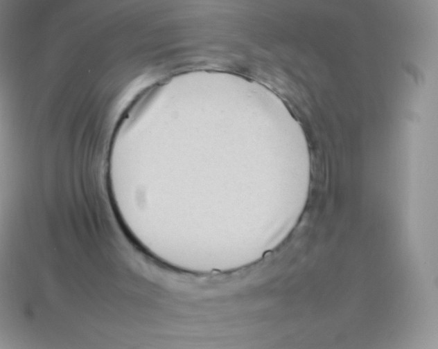 X0000113640003200910162047