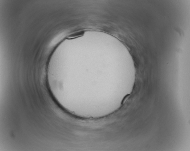 X0000113640005200910162047