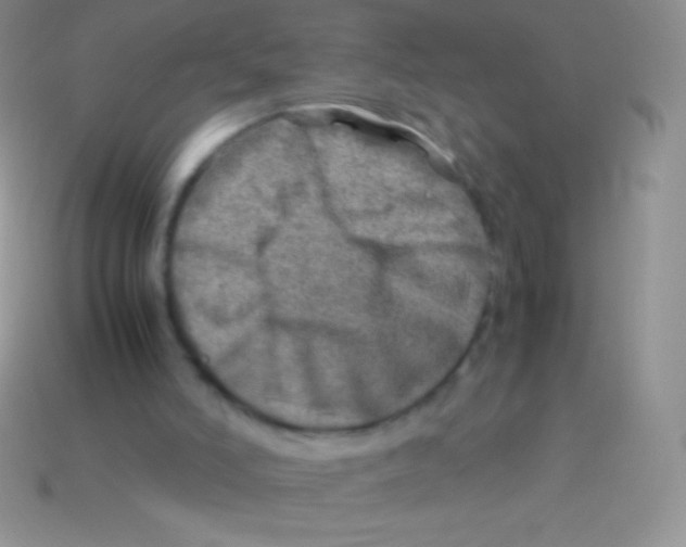 X0000113640006200910162047