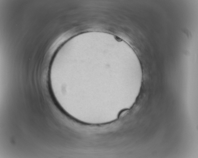 X0000113640007200910162047