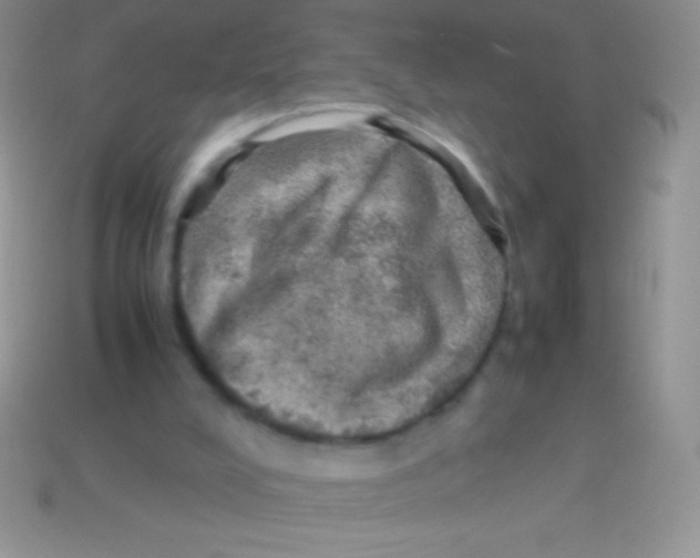 X0000113640008200910162047