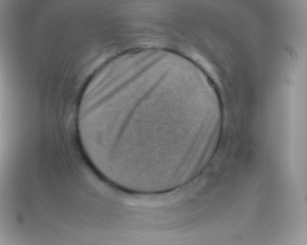 X0000113640009200910162047