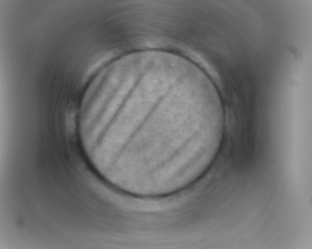 X0000113640010200910162047