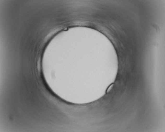 X0000113640011200910162047