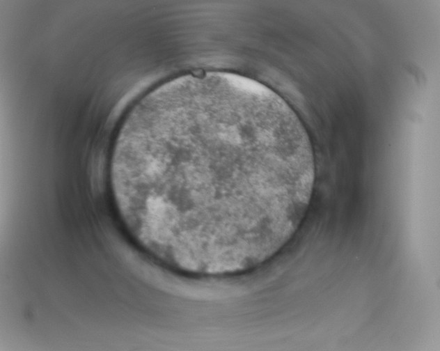 X0000113640012200910162047