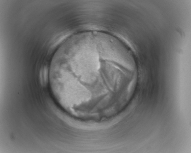 X0000113640014200910162047