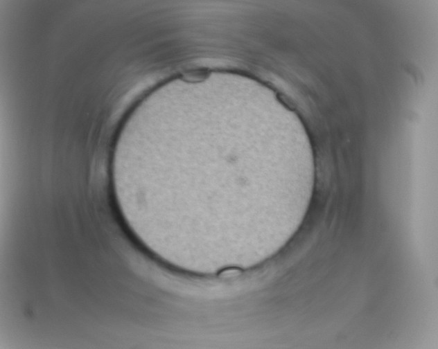 X0000113640015200910162047