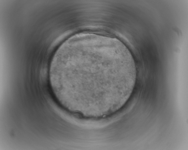 X0000113640016200910162047