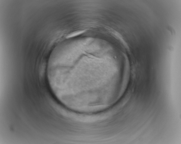 X0000113640018200910162047