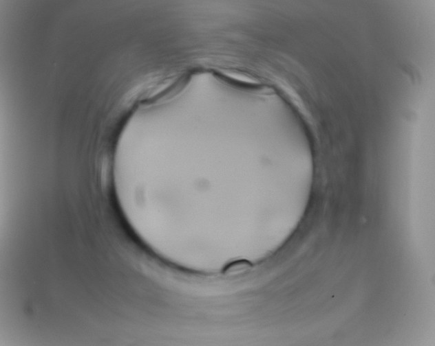 X0000113640019200910162047