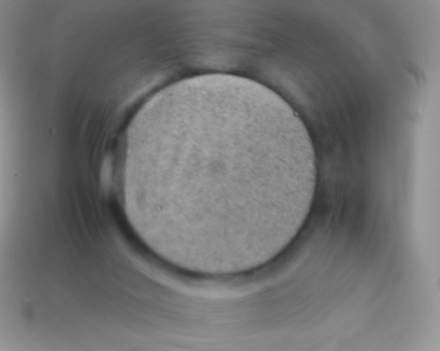 X0000113640020200910162047