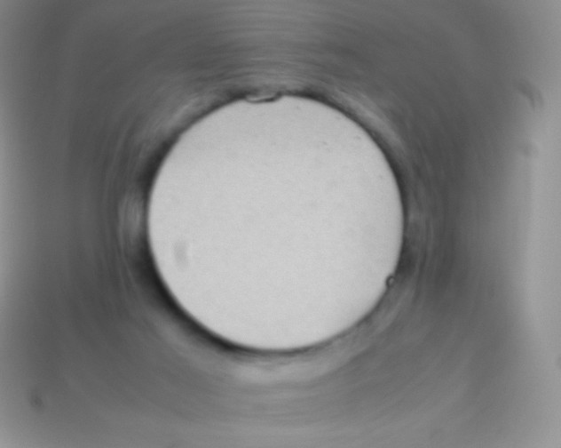 X0000113640021200910162047