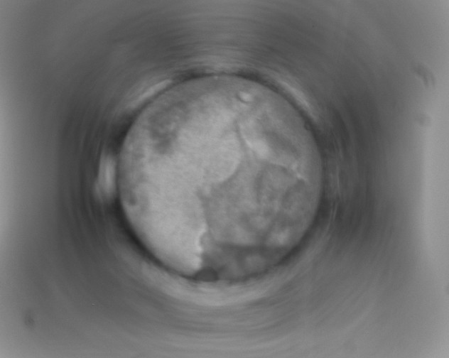 X0000113640022200910162047