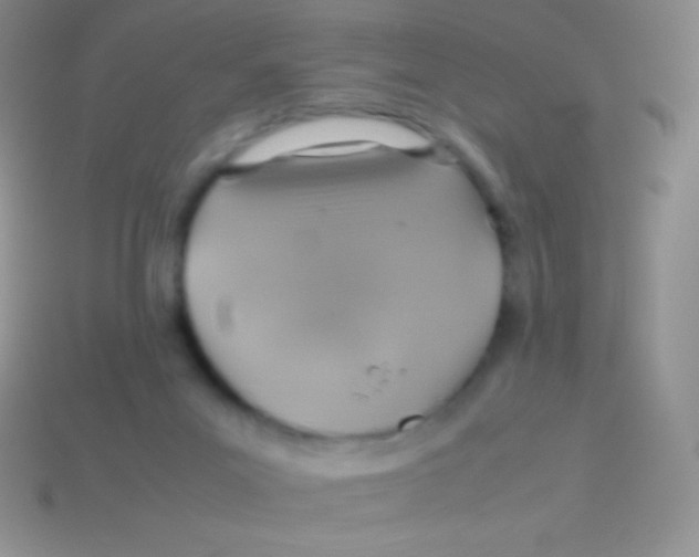 X0000113640023200910162047