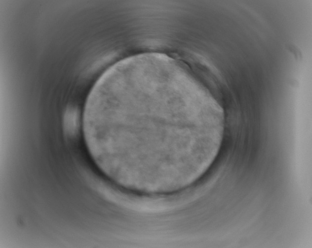 X0000113640024200910162047