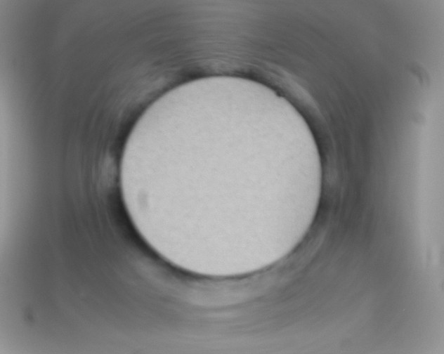 X0000113640025200910162047