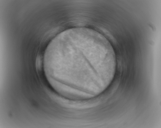 X0000113640026200910162047