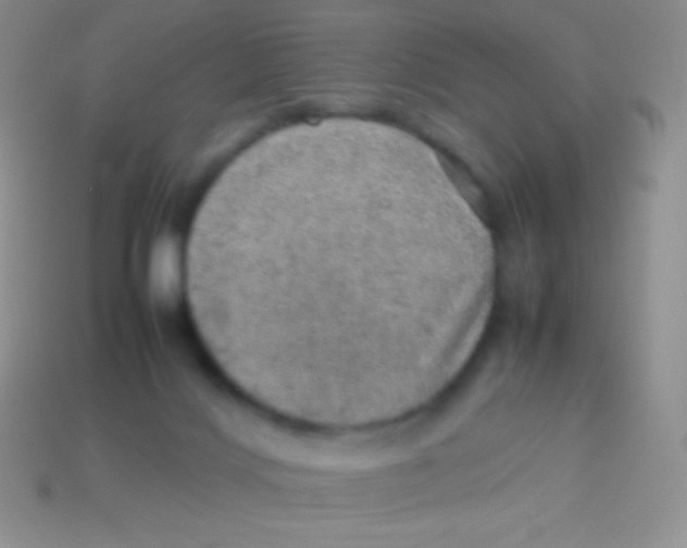 X0000113640028200910162046