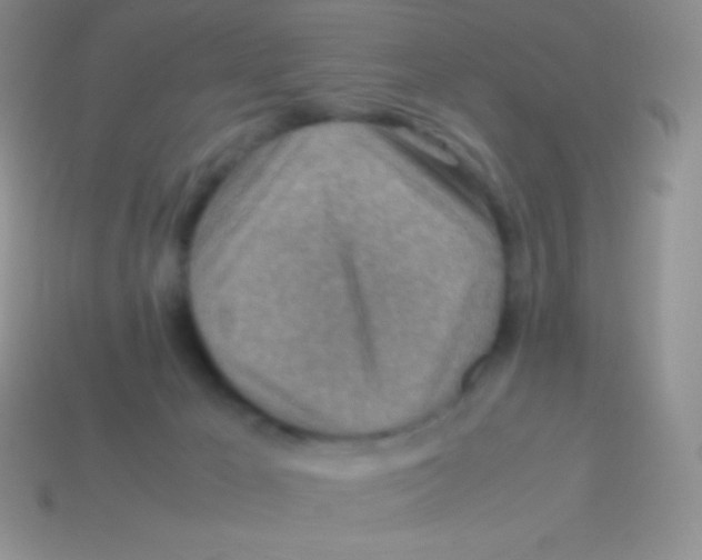 X0000113640029200910162046