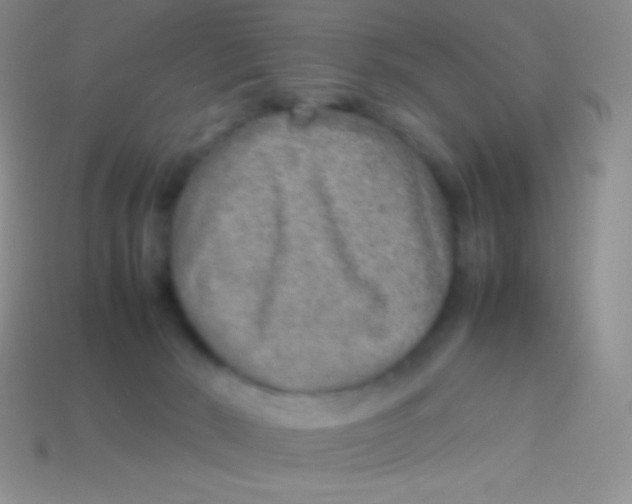 X0000113640030200910162046