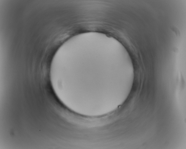 X0000113640031200910162046