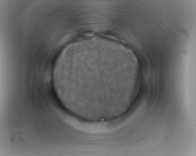 X0000113640032200910162046