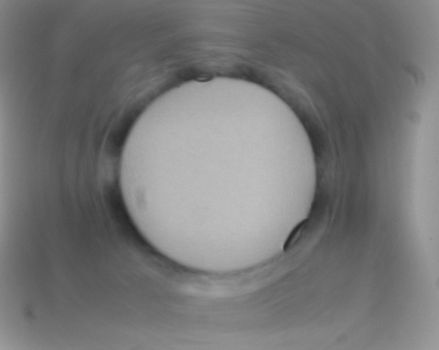 X0000113640033200910162046