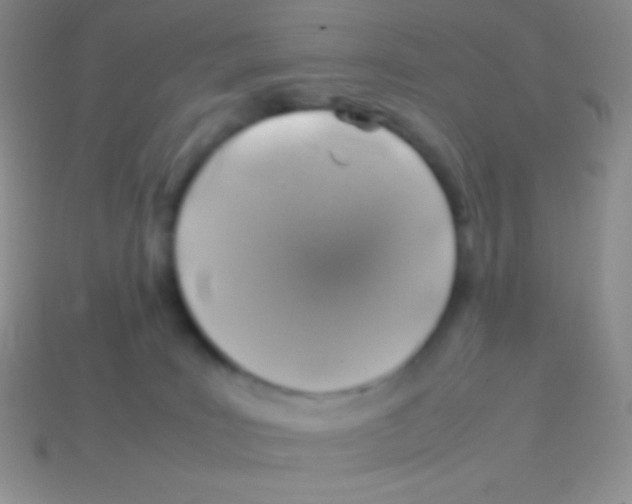 X0000113640035200910162046