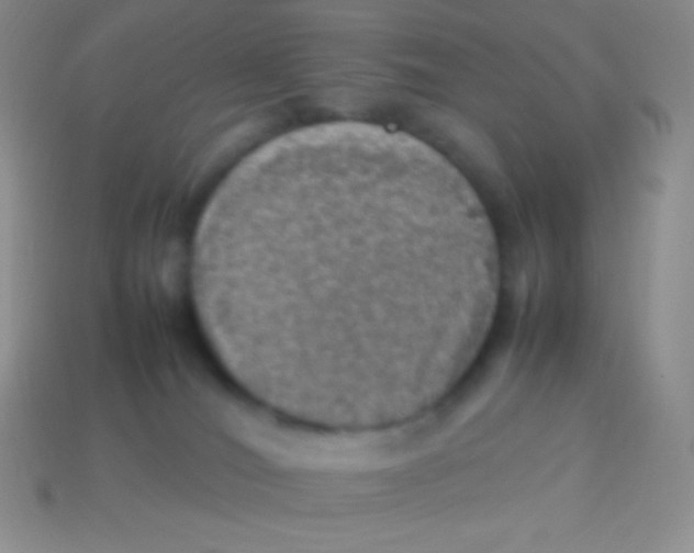 X0000113640036200910162046