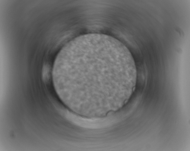 X0000113640038200910162046