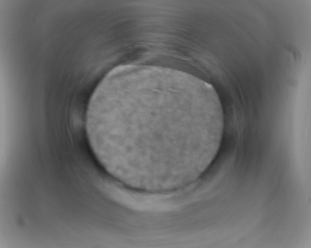 X0000113640040200910162046