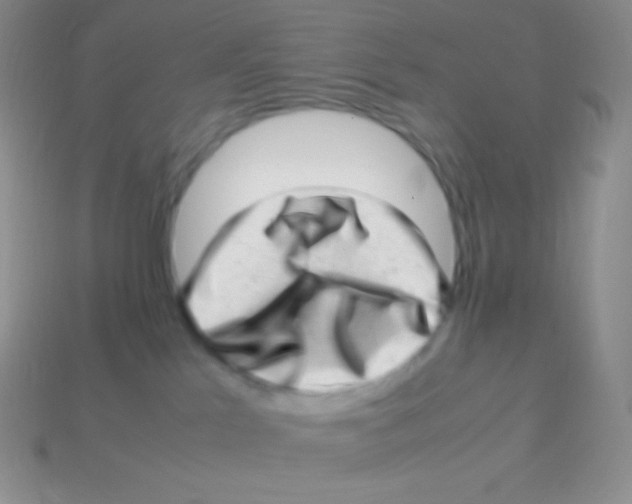 X0000113640041200910162046