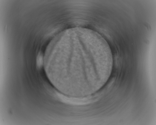 X0000113640042200910162046