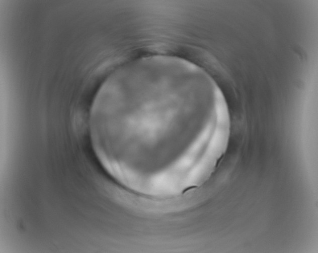 X0000113640043200910162046