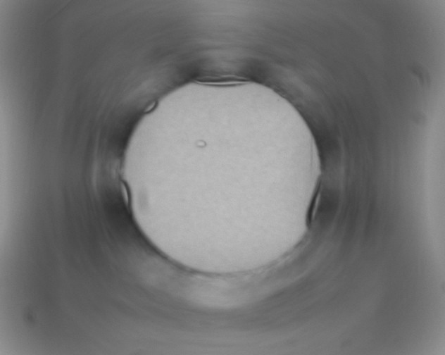 X0000113640045200910162046