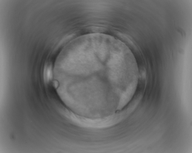 X0000113640046200910162046