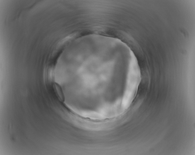 X0000113640047200910162046