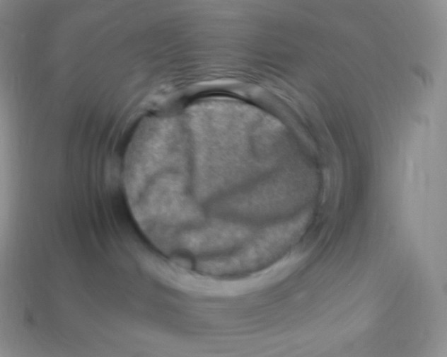 X0000113640048200910162046