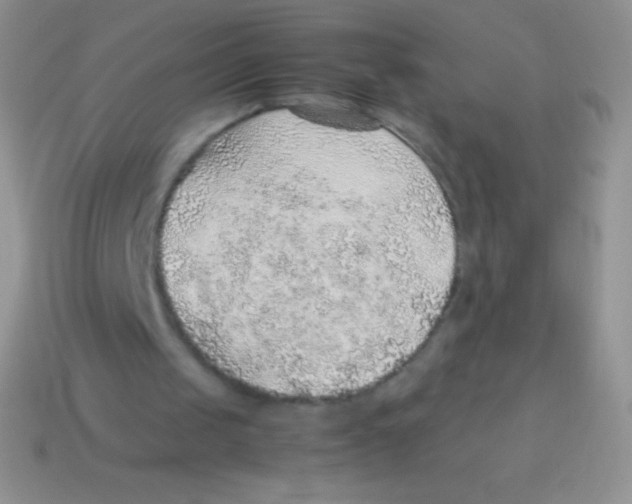 X0000113640049200910162046