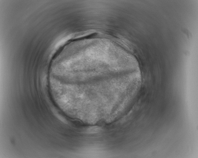 X0000113640050200910162046