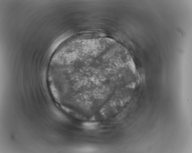 X0000113640051200910162046