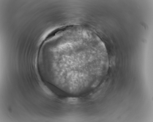 X0000113640052200910162046