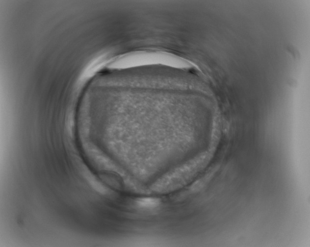 X0000113640053200910162046