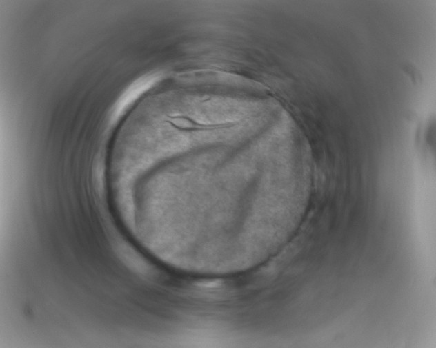 X0000113640054200910162046