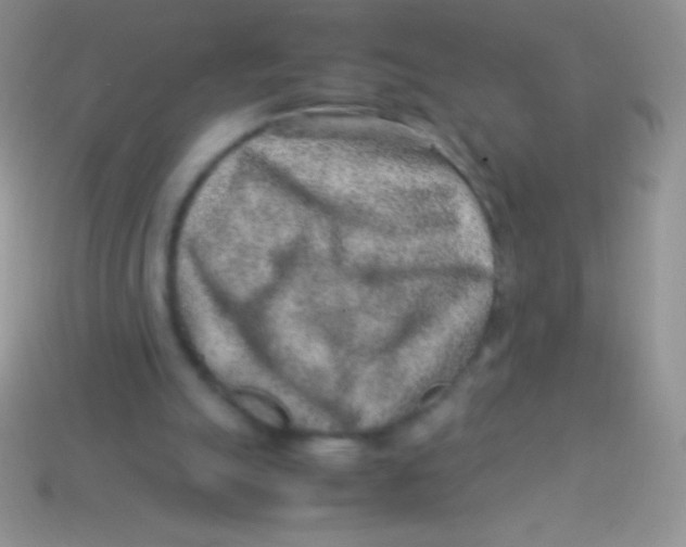 X0000113640055200910162046