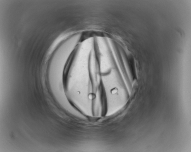 X0000113640056200910162046