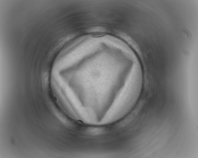 X0000113640057200910162046