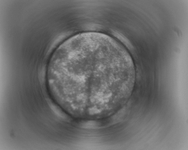 X0000113640058200910162046